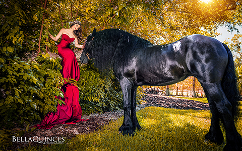 bella-quinces-villa-blanca-black-horse