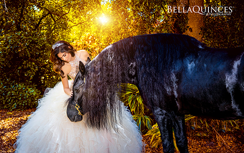 bella-quinces-villa-blanca-quinceanera-white-dress-black-horse